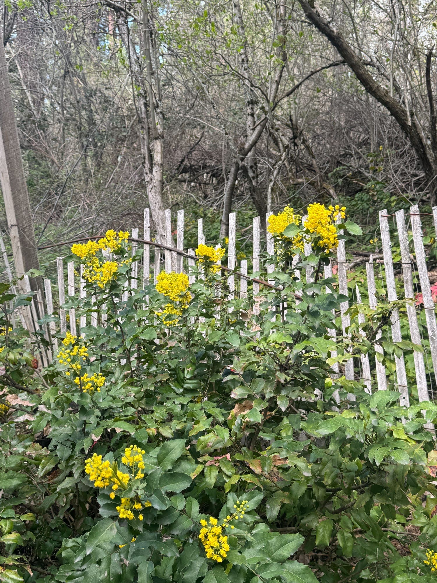An image added to the post.